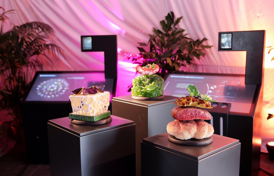 Culinair Cellulair