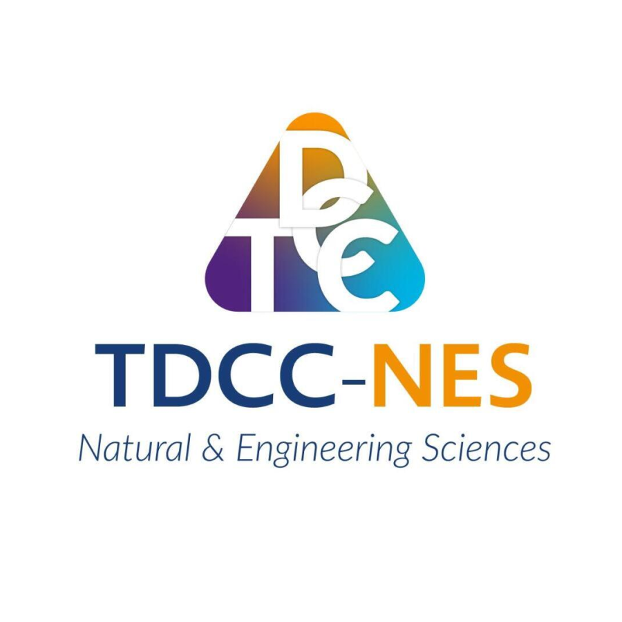 TDCC-NES