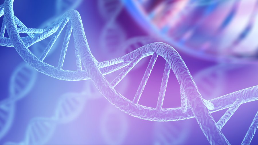 Puzzling Proteins